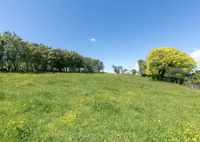  at 3/162 Koromatua Road, Hamilton