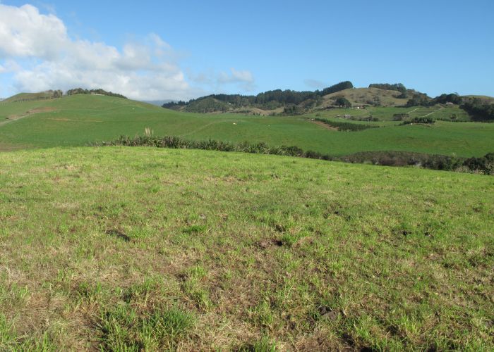  at 51B Bridle Creek Road, Raglan, Raglan