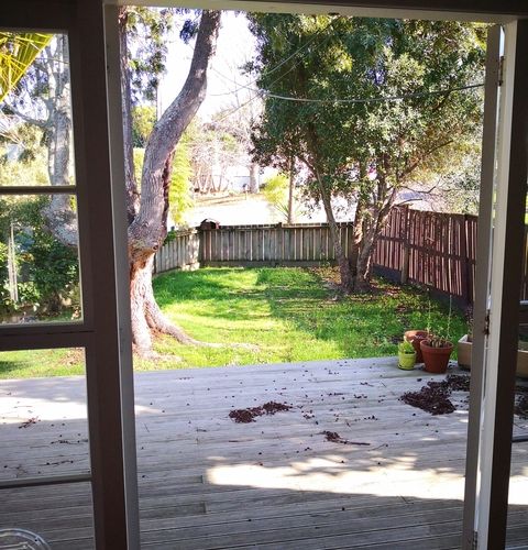  at 18 Poto Street, Te Atatu South, Auckland