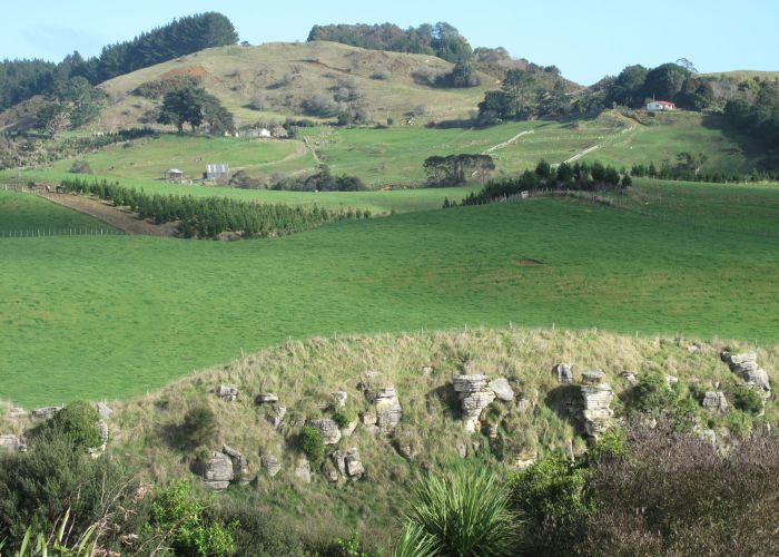  at 51B Bridle Creek Road, Raglan, Raglan
