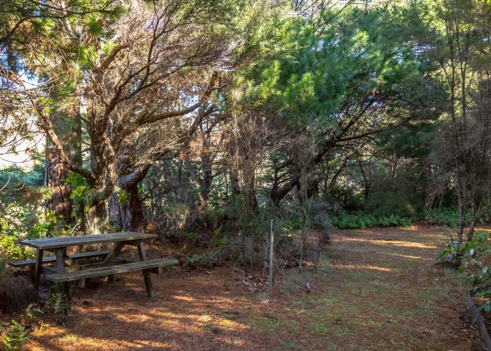  at 351 Upper Waingawa Road, Kaituna, Masterton