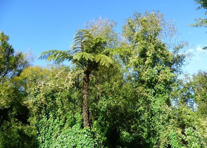  at 112 Ahikouka Road, Ahikouka