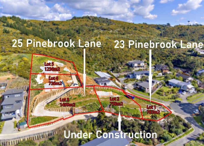  at 25 Pinebrook Lane, Maraetai, Auckland