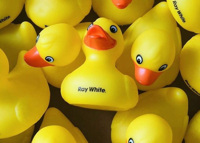  at 41 Oakland Road, Karaka, Papakura