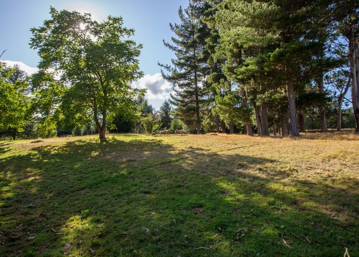 at 26 Tui Road, Tapawera