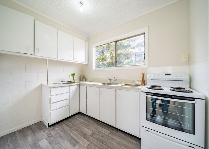  at 3/66 Richmond Street, Petone, Lower Hutt