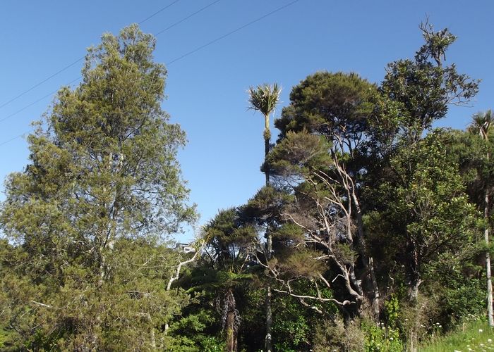  at 19 Pacific Bay Road, Tutukaka, Whangārei