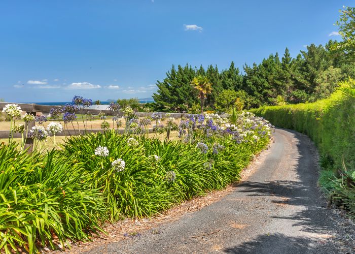 at 230 Port Marsden Highway, Whangarei