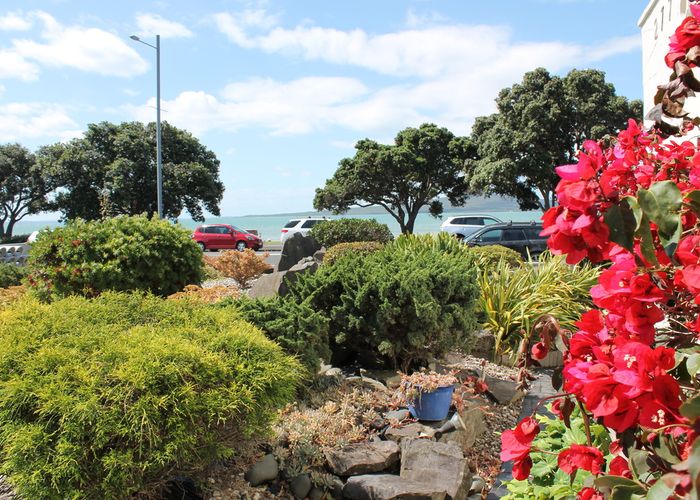 at 8/277 Tamaki Drive, Kohimarama, Auckland