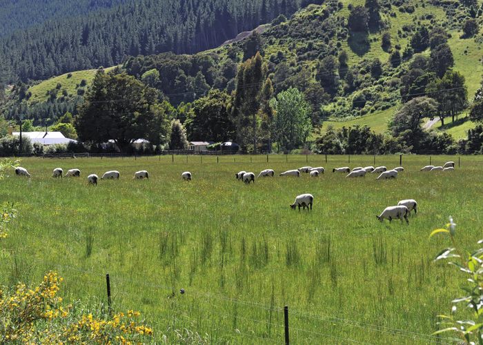  at 253 Wairoa Gorge Road, Wairoa Valley