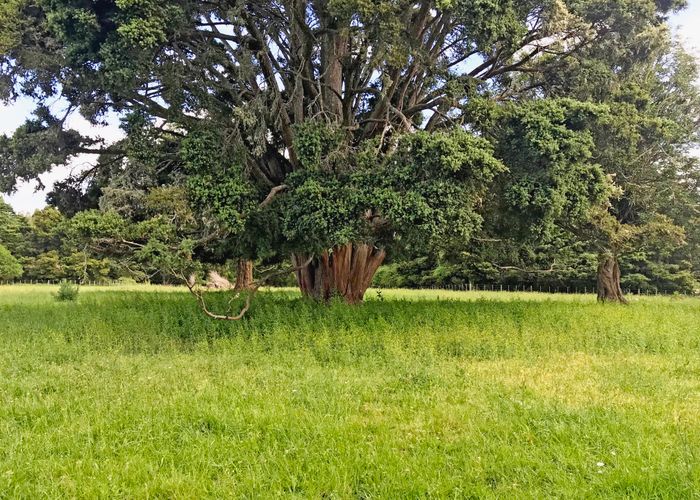  at 525 Whatitiri Road, Whangarei