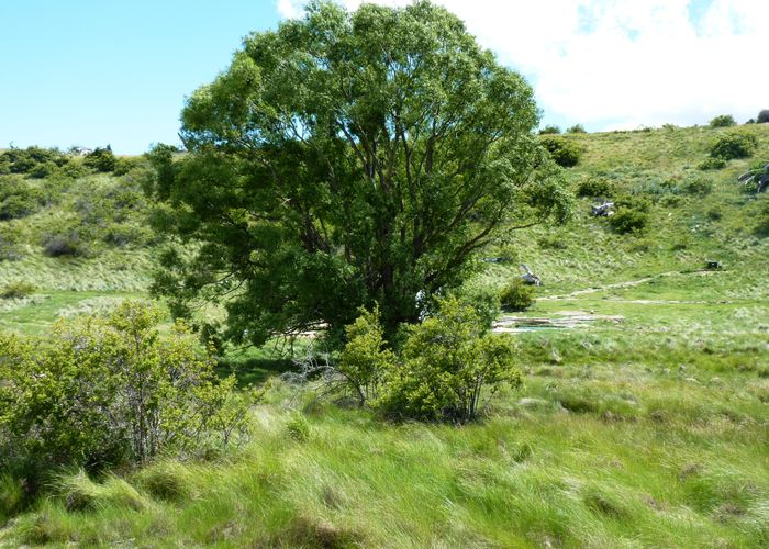  at 0 Nelsen Ridge Rd, Waikerikeri, Alexandra