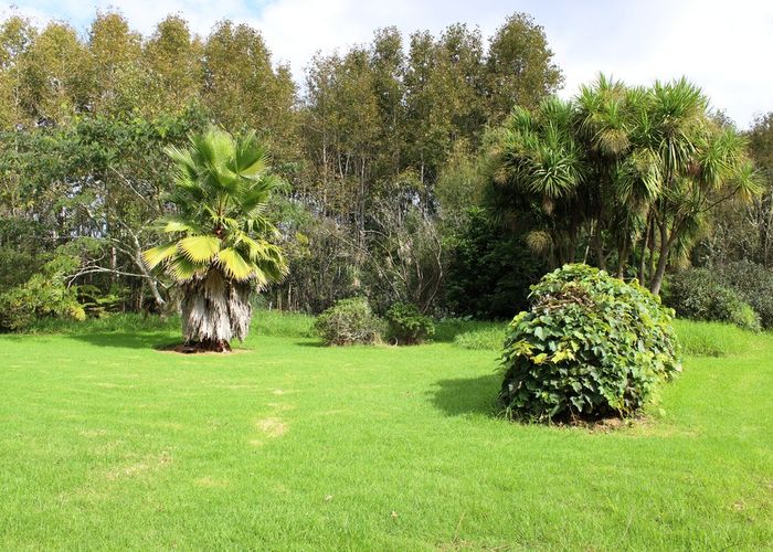  at 31 Jude Road, Kaiwaka