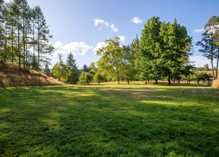 at 26 Tui Road, Tapawera