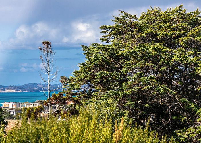  at 28 Te Arawa Street, Orakei, Auckland