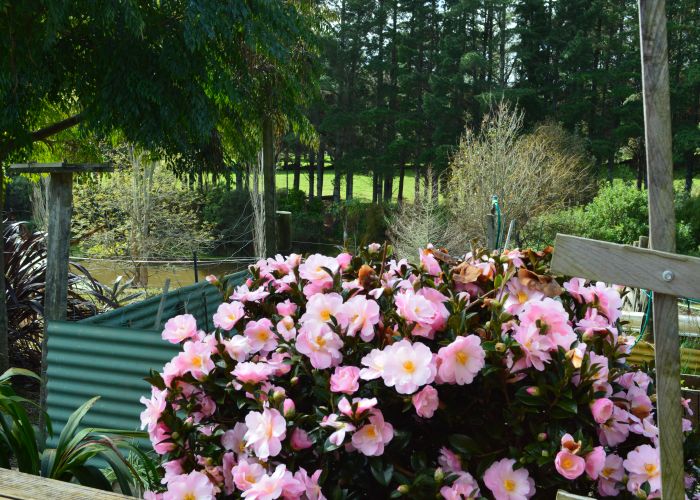  at 95 Marshall Road, Kaiwaka