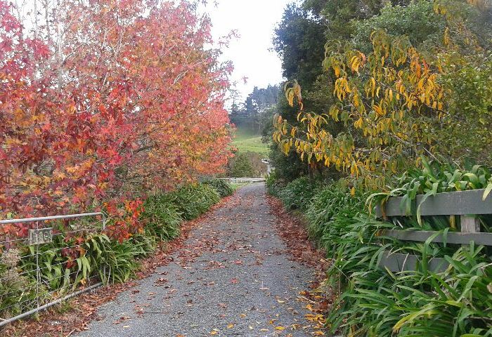  at 691 School Road, Wellsford