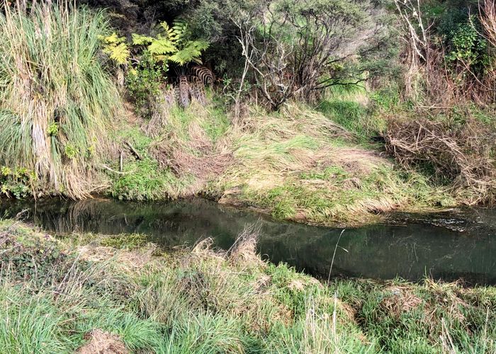 at 48 MICK DILLON RD, Makarau, Warkworth