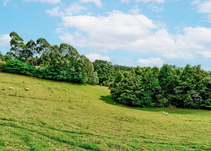  at 737 Owhiwa Road, Onerahi