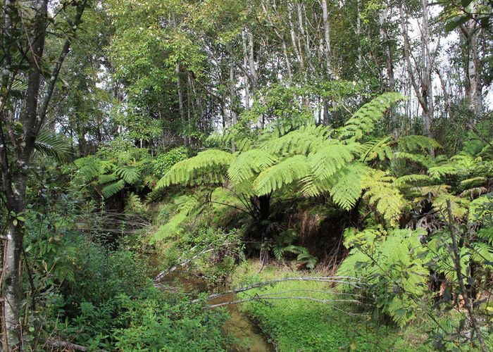  at 31 Jude Road, Kaiwaka