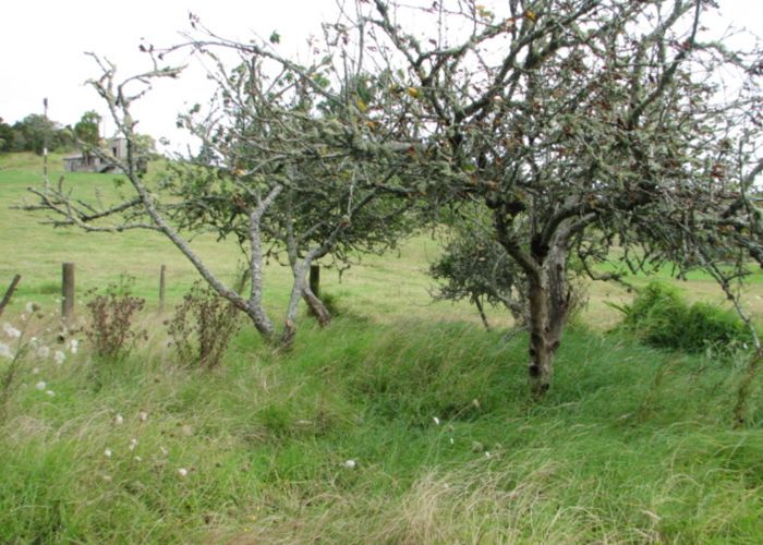  at 46 Franklin Road, Paparoa, Paparoa