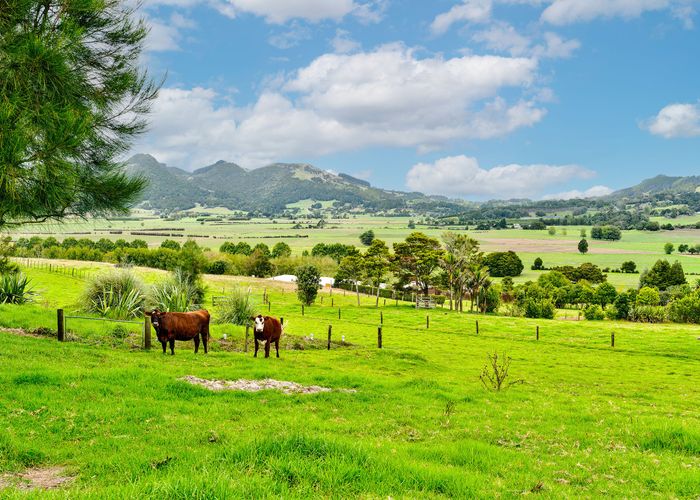  at 14 Matarau Road, Matarau, Whangārei