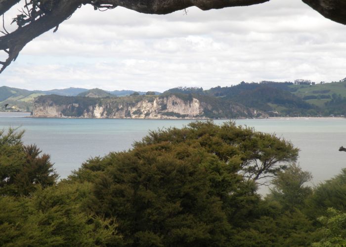  at 10 Punga Place, Whitianga, Whitianga