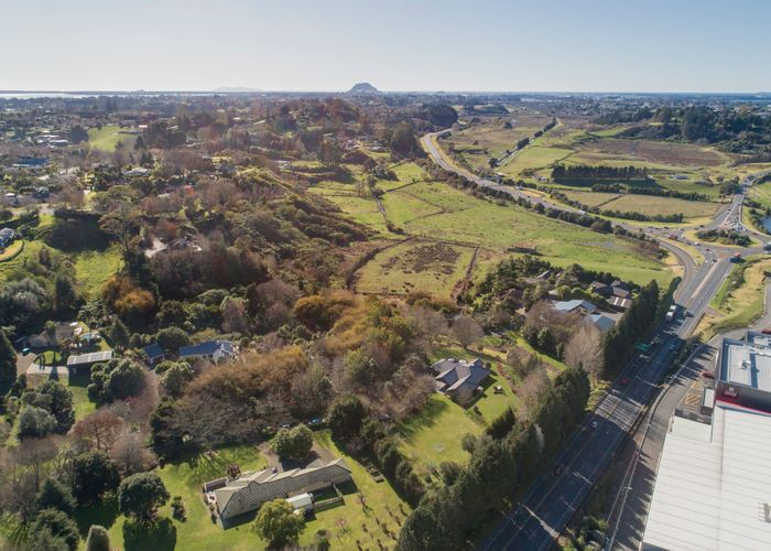  at 44 Silkwood Way, Tauriko, Tauranga