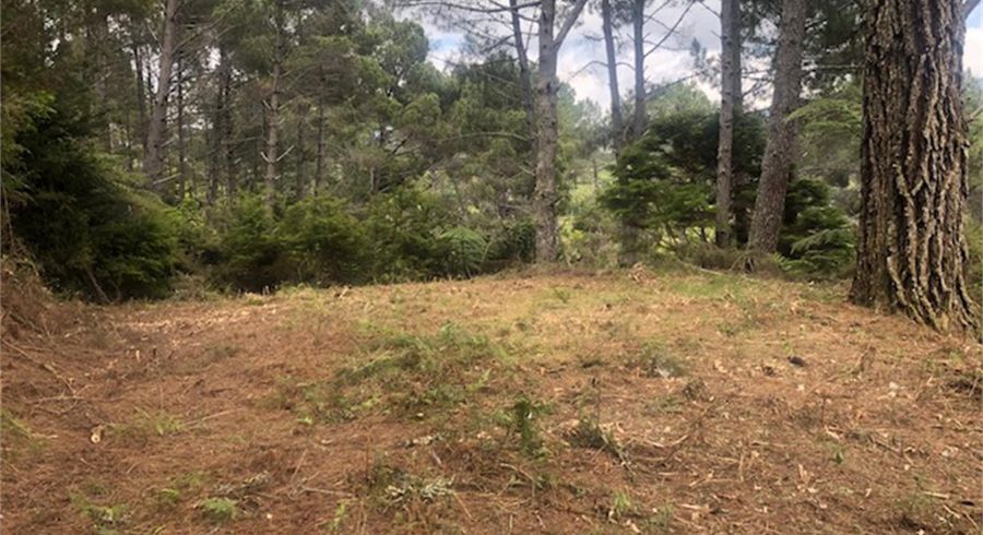  at 205 Kaimarama Road, Kaimarama, Whitianga