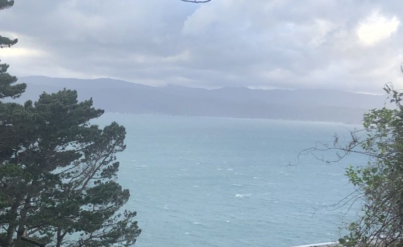  at 19 Malvern Road, Ngauranga, Wellington