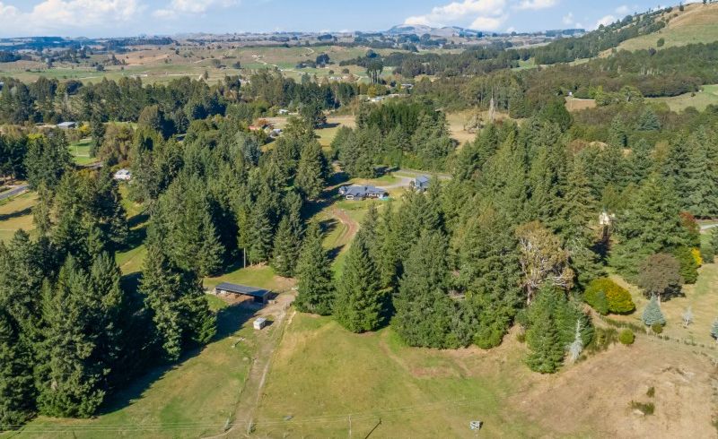  at 16 Forest Road, Oruanui, Taupo