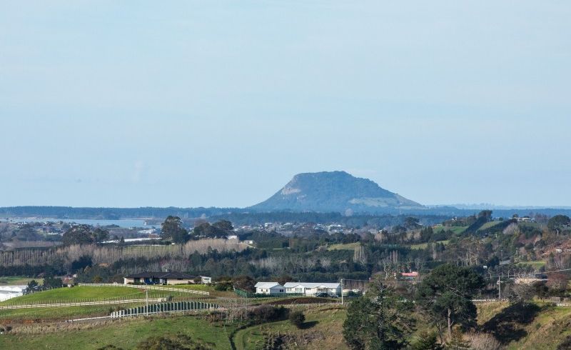  at 8B Hinckley Road, Aongatete, Aongatete