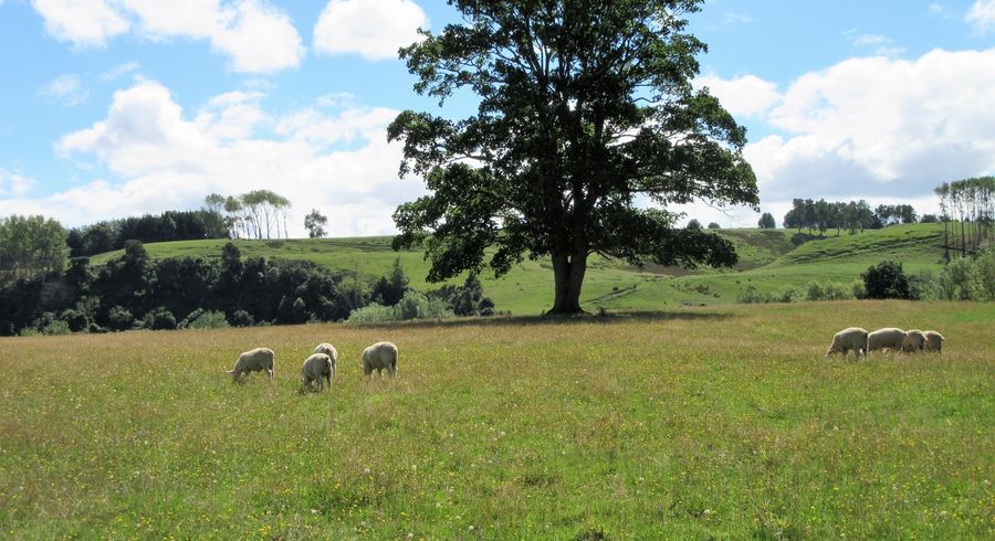  at 141B Waituna Tapuae Road, Waituna West