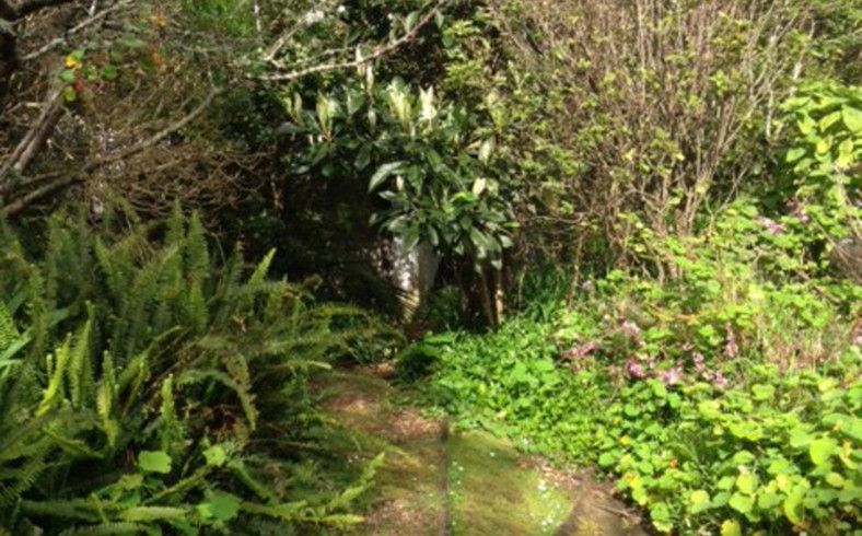  at 17 Albert Crescent, Ostend, Waiheke Island