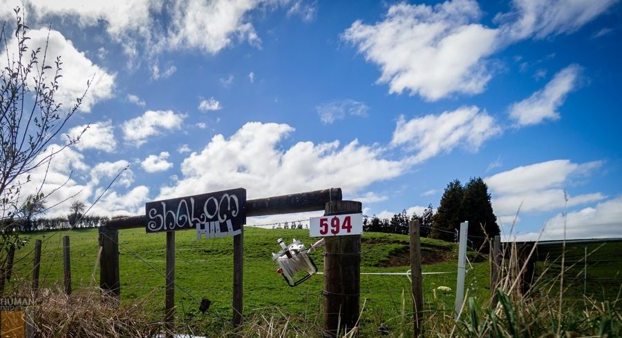  at 594 Falls Road, Waerenga, Te Kauwhata