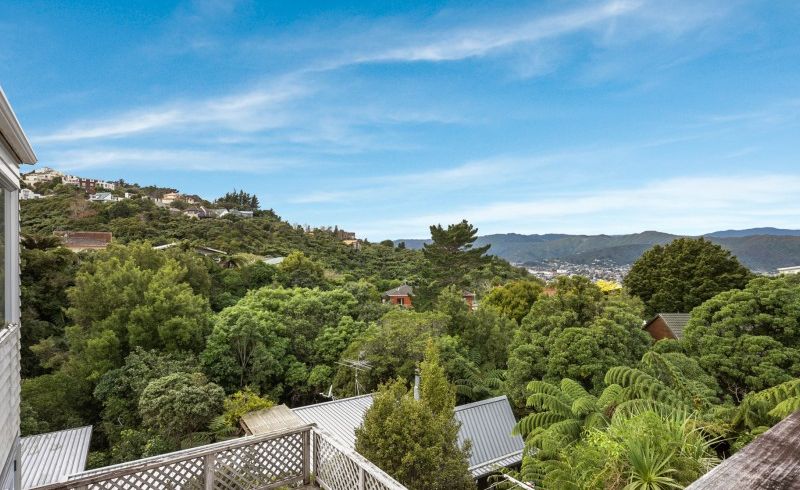  at 11 Panorama Grove, Harbour View, Lower Hutt