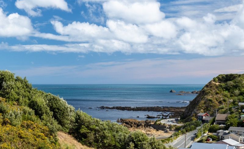  at 10 Ara Haewai, Houghton Bay, Wellington