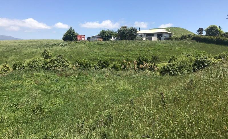  at 101 Pheney Road, Omata, New Plymouth
