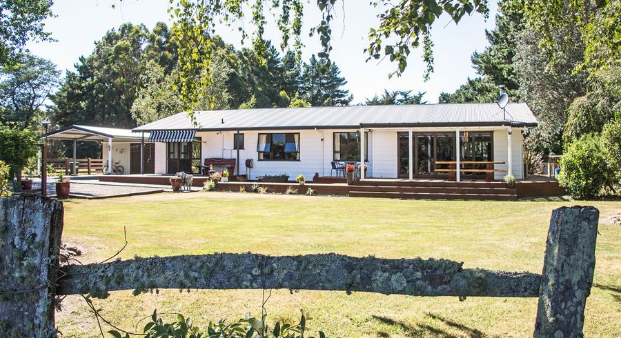  at 317 West Bush Road, Upper Plain, Masterton