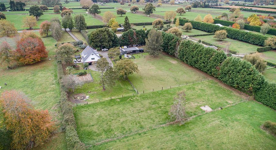  at 195 Hautapu Road, Pukemoremore, Cambridge