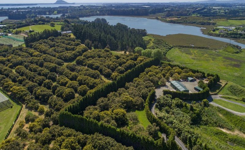  at 56G Plummers Point Road, Tauranga