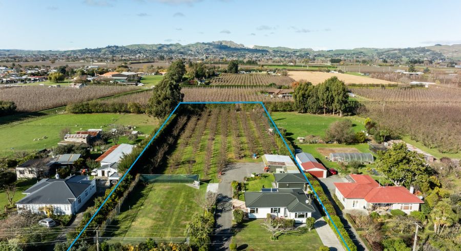  at 934 Riverslea Road South, Longlands, Hastings, Hawke's Bay