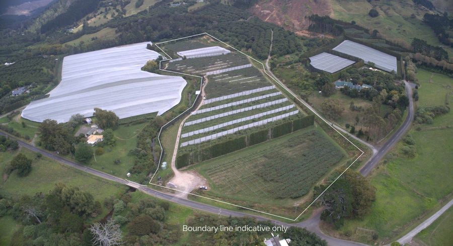  at 41D Ross Ware Drive, Athenree, Western Bay Of Plenty, Bay Of Plenty