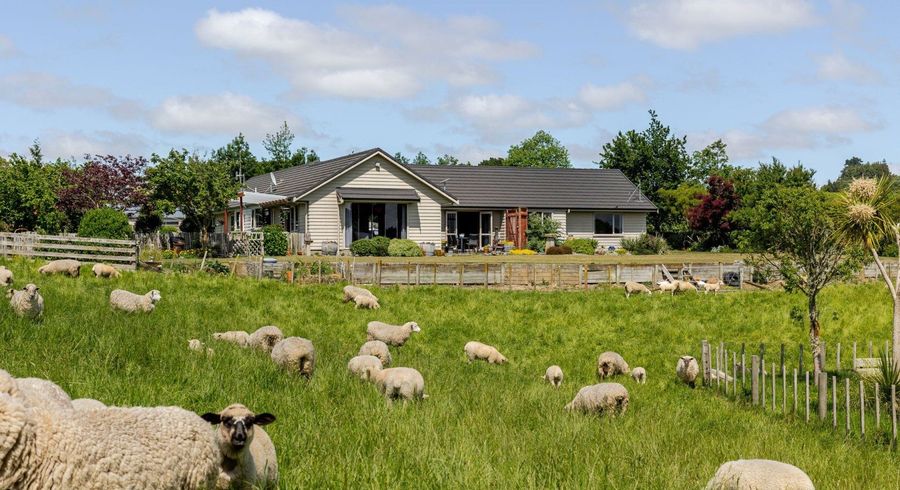  at 578 Sandon Road, Feilding, Feilding
