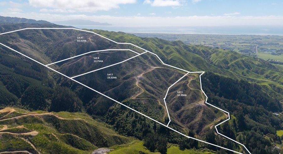  at 170 Mangaone North Road, Te Horo, Kapiti Coast, Wellington