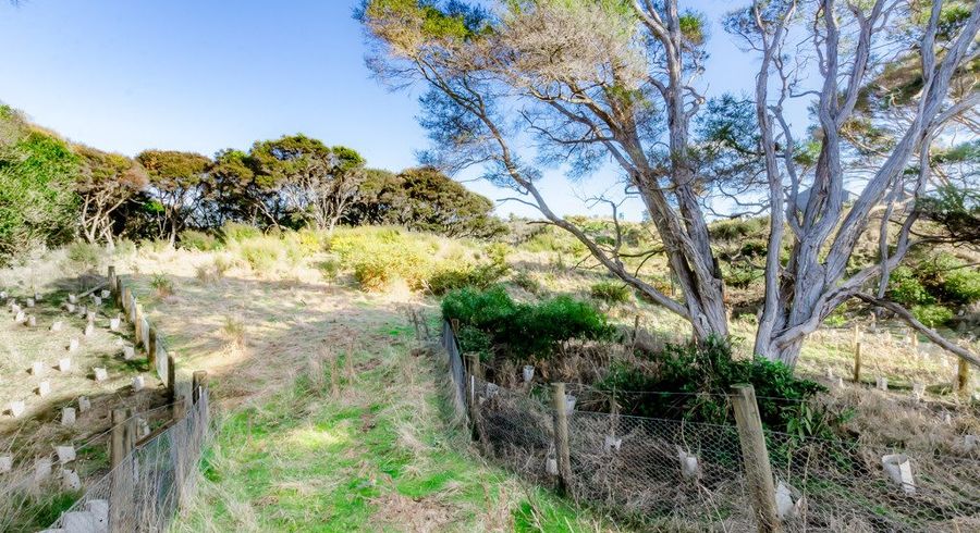  at 51 Anderson Park Drive, Waikanae, Kapiti Coast, Wellington