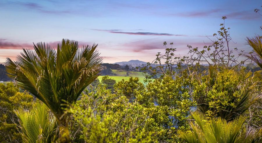  at 55 Hinau Road, Waimauku, Waimauku