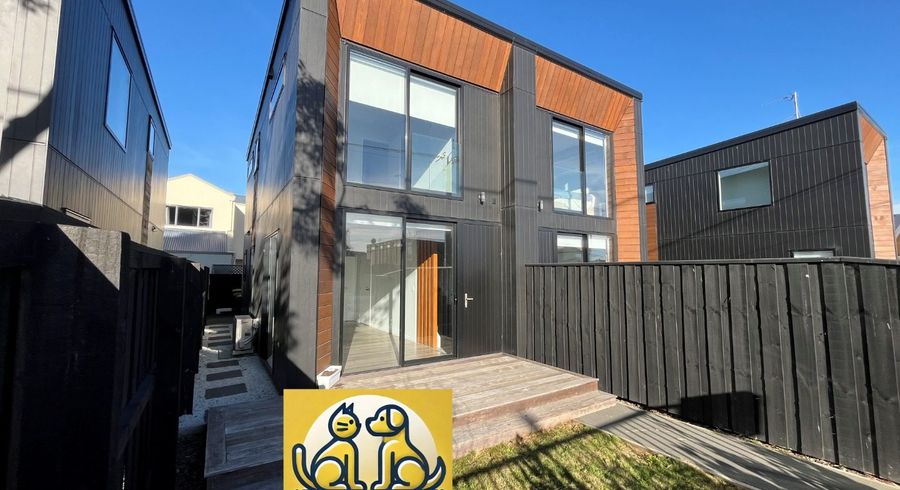  at 98 Canon St, St. Albans, Christchurch City, Canterbury