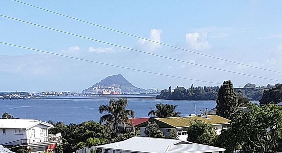  at 361A Maungatapu Road, Maungatapu, Tauranga, Bay Of Plenty