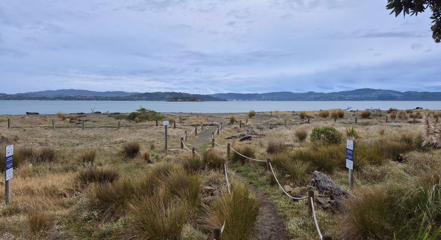  at 34 Tuatoru Street, Eastbourne, Lower Hutt, Wellington